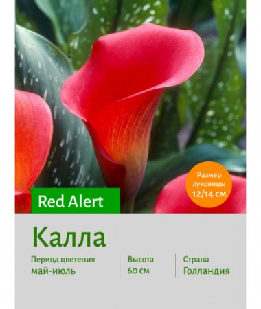 Калла Red Alert