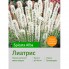Лиатрис spicata Alba