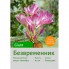 Безвременник Giant