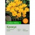 Крокус Golden Yellow