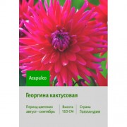 Георгина Acapulco