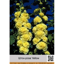 Шток-роза Yellow