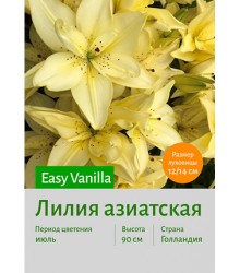 Лилия Easy Vanilla