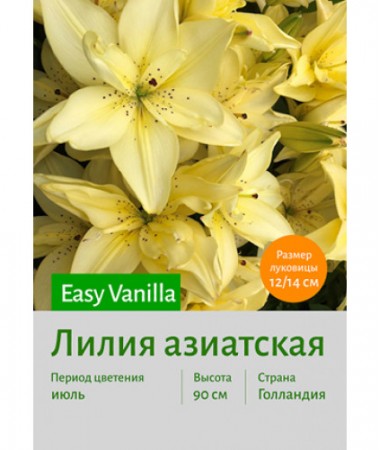 Лилия Easy Vanilla