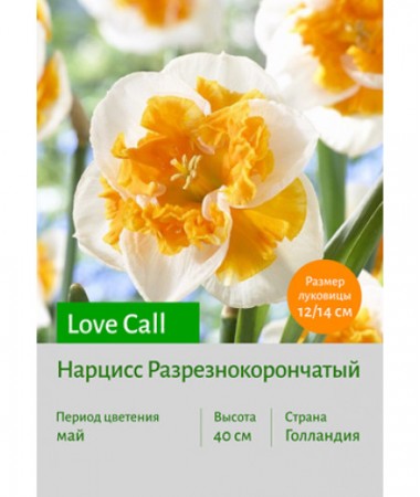 Нарцисс Love Call