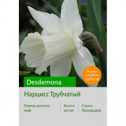 Нарцисс Desdemona