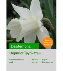 Нарцисс Desdemona