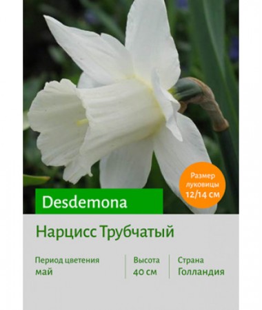 Нарцисс Desdemona
