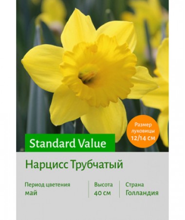 Нарцисс Standard Value
