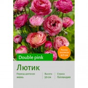 Лютик Double pink
