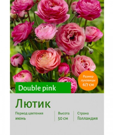 Лютик Double pink