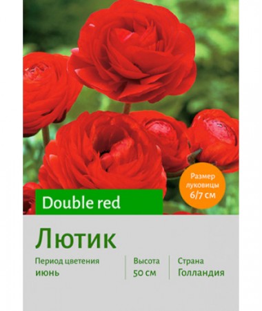 Лютик Double red