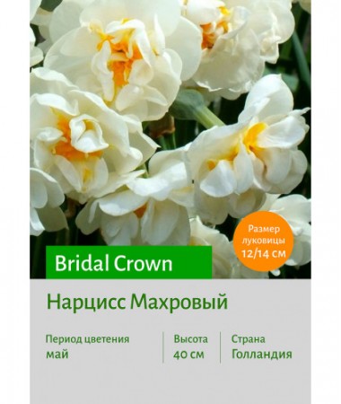 Нарцисс Bridal Crown