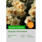 Нарцисс Double Fashion
