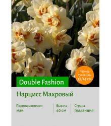 Нарцисс Double Fashion