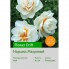 Нарцисс Flower Drift