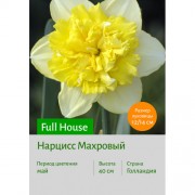 Нарцисс Full House