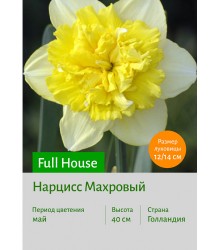 Нарцисс Full House