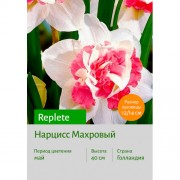 Нарцисс Replete