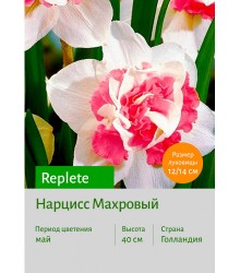 Нарцисс Replete