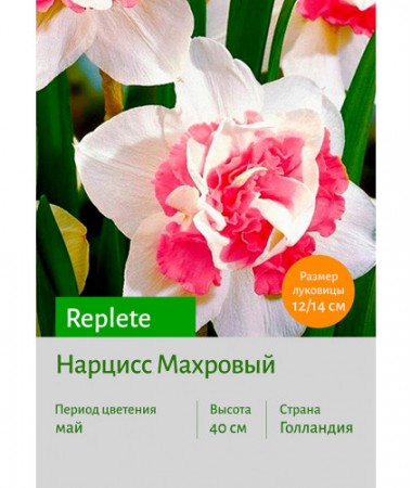 Нарцисс Replete