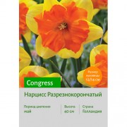 Нарцисс Congress