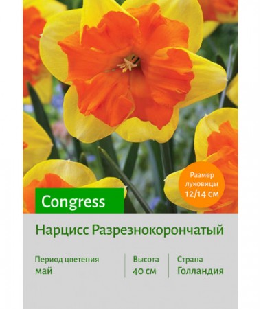 Нарцисс Congress