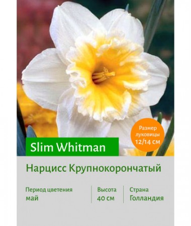 Нарцисс Slim Whitman