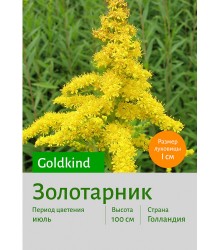 Золотарник Goldkind
