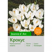 Крокус Jeanne d`Arc