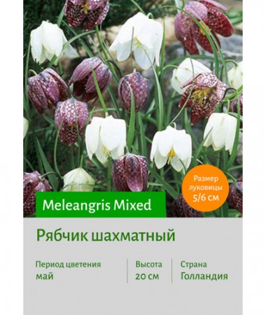 Рябчик Meleangris Mixed