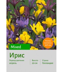 Ирис Mixed