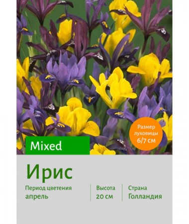 Ирис Mixed