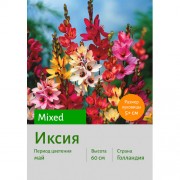 Иксия Mixed
