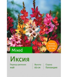 Иксия Mixed