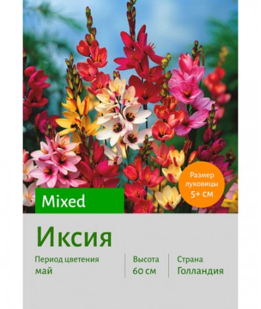 Иксия Mixed