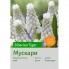 Мускари Siberian Tiger