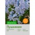 Пушкиния libanotica