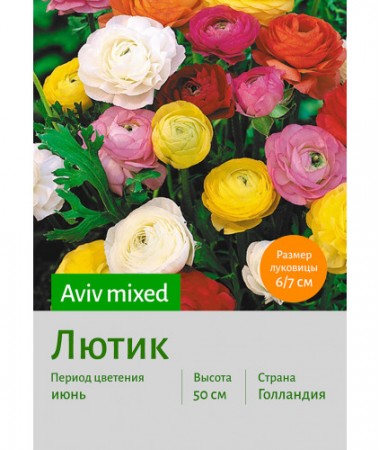 Лютик Aviv mixed