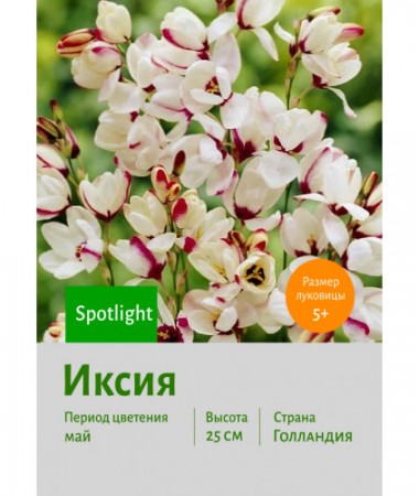 Иксия Spotlight
