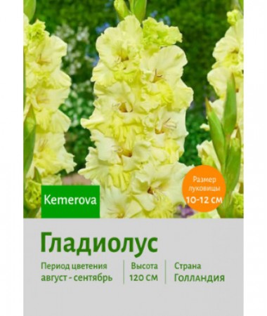 Гладиолус Kemerovj