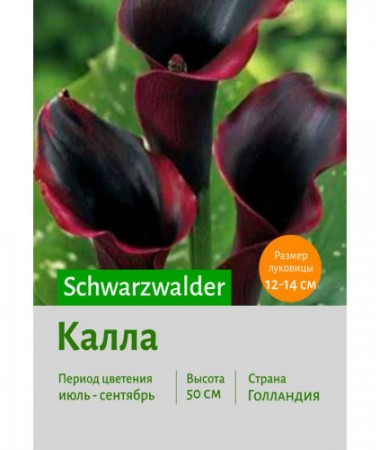 Калла Schwarzwalder