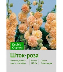 Шток-роза Double Chamois