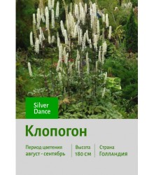 Клопогон Silver Dance