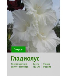 Гладиолус Покров
