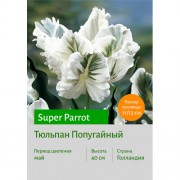 Тюльпан Попугайный Super Parrot