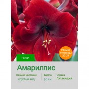Амариллис Ferrari
