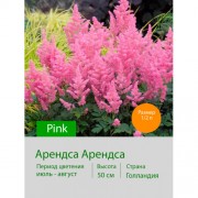 Астильба Арендса Pink