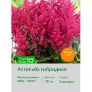 Астильба гибридная Younique Ruby Red®