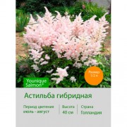 Астильба гибридная Younique Salmon®